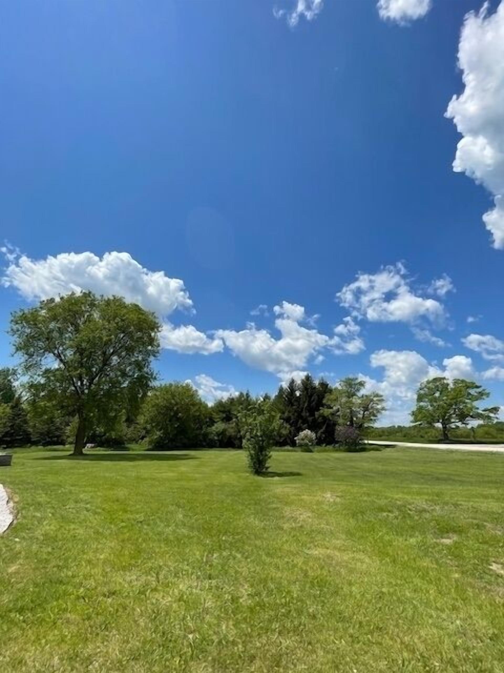 A grassy field with trees and a clear blue sky.