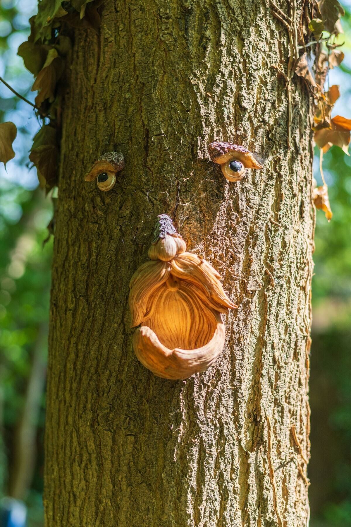 A tree with carved faces and eyes.