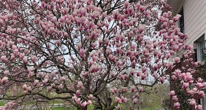 Private Room with en-suit Bathroom 3 Mins to Falls