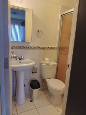 Douche, séchoir à cheveux, serviettes fournies, savon
