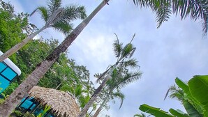 Exterior - BusHotel Puerto Viejo (Cahuita)