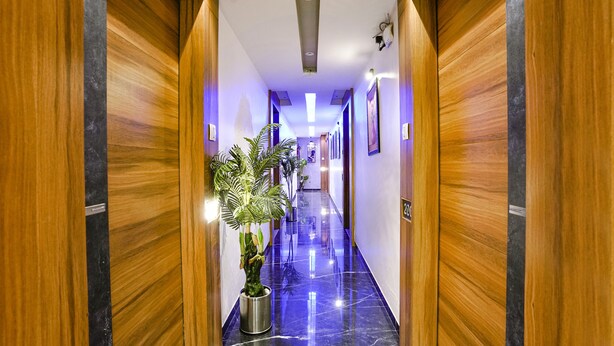 A hallway with wooden doors, a potted plant, and a marble floor.