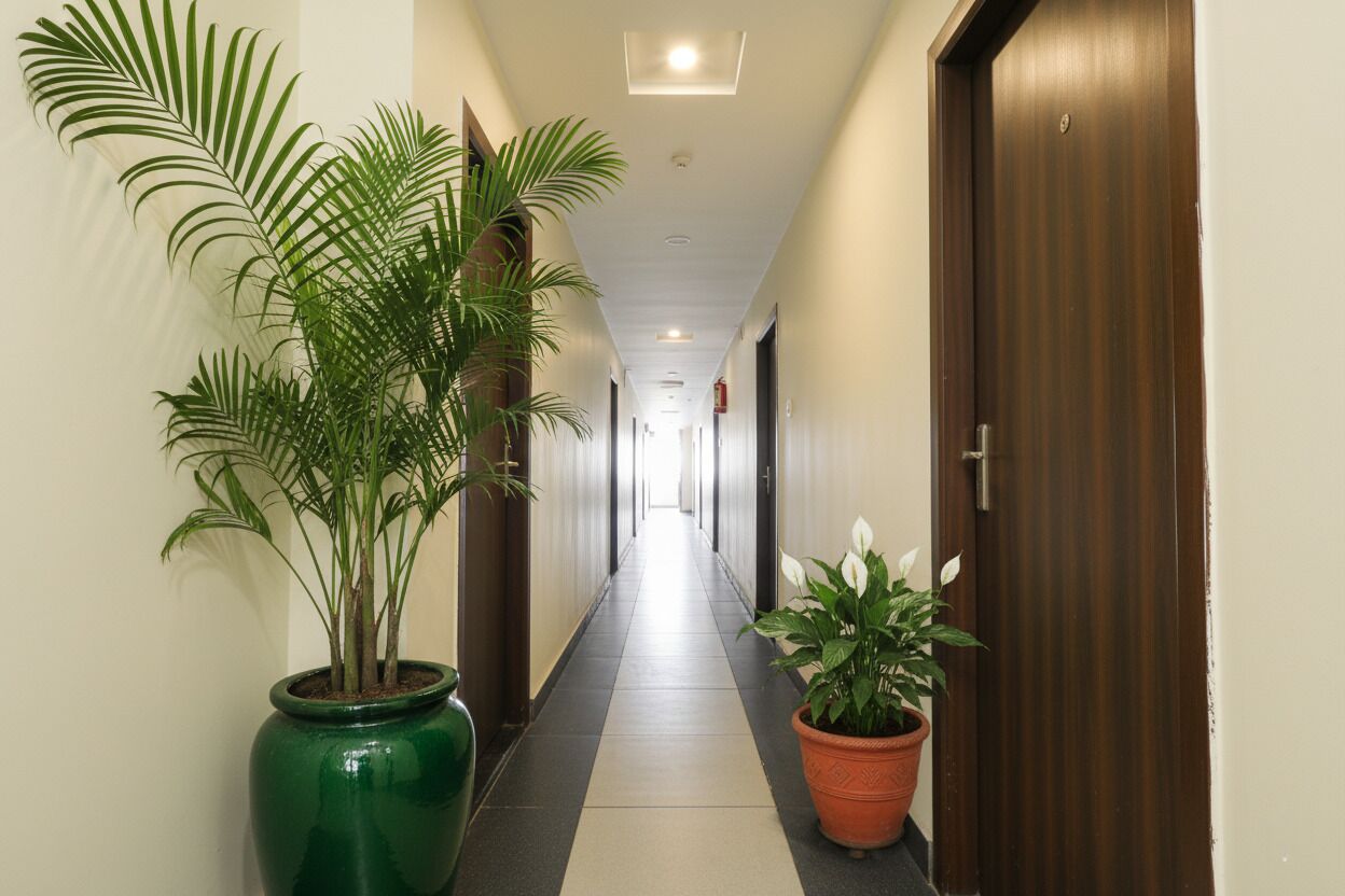 A hotel hallway with a green plant on the left and a potted plant on the right.