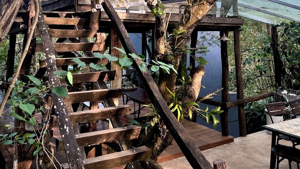 Een houten huis met een wenteltrap, omringd door weelderige begroeiing en witte bloemen.