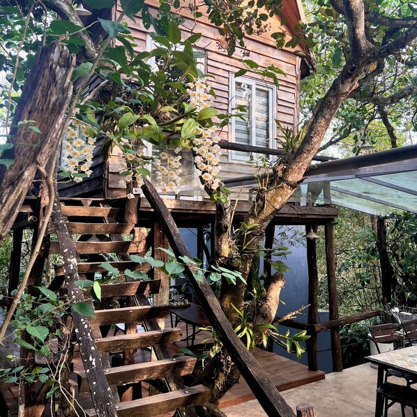 Design bungalow, keuken | Gratis wifi, beddengoed