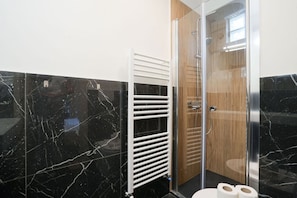Shower, hair dryer, bidet, towels