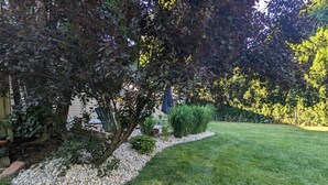Un giardino curato con prato, un albero e un piccolo arbusto.