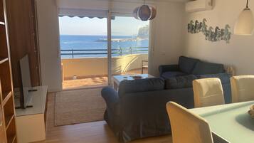 Televisión y libros