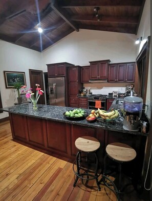 Microwave, oven, stovetop, dishwasher - Mountain View house, 15min. SJO Airport (Desamparados)
