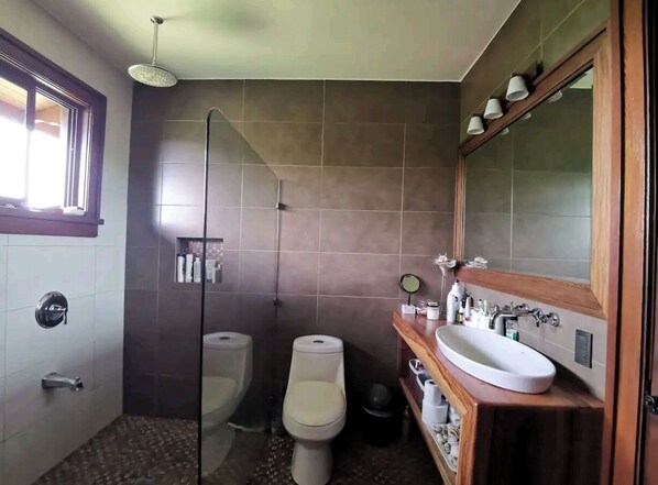 A bathroom with two toilets, a shower, a sink, and a mirror.