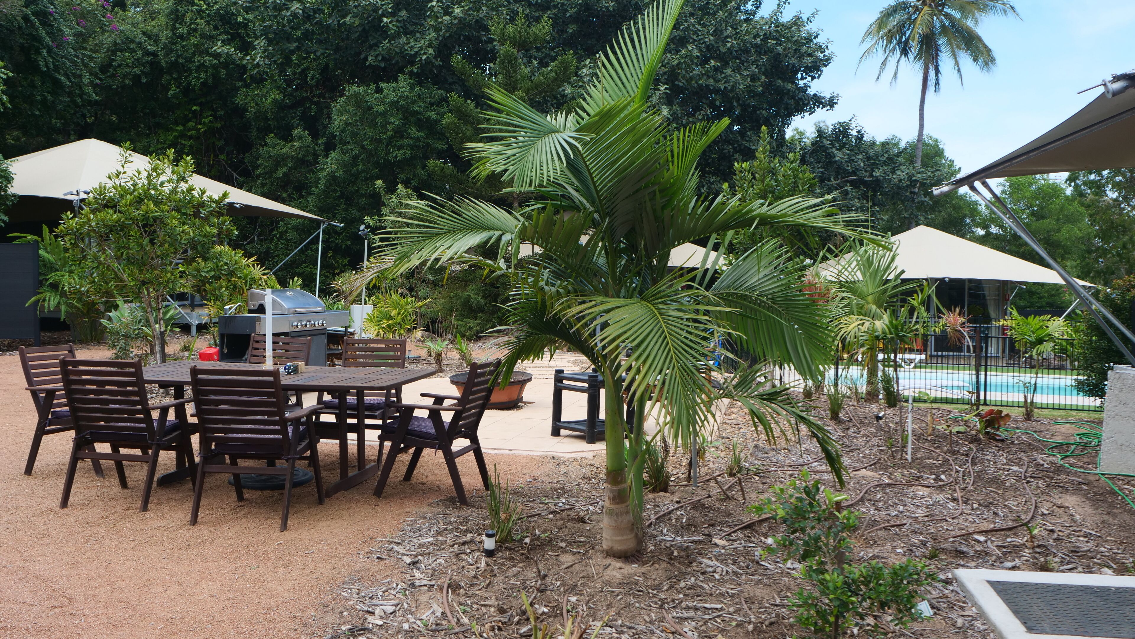 Een terras buiten met een eettafel en stoelen, omringd door palmbomen en een barbecue.