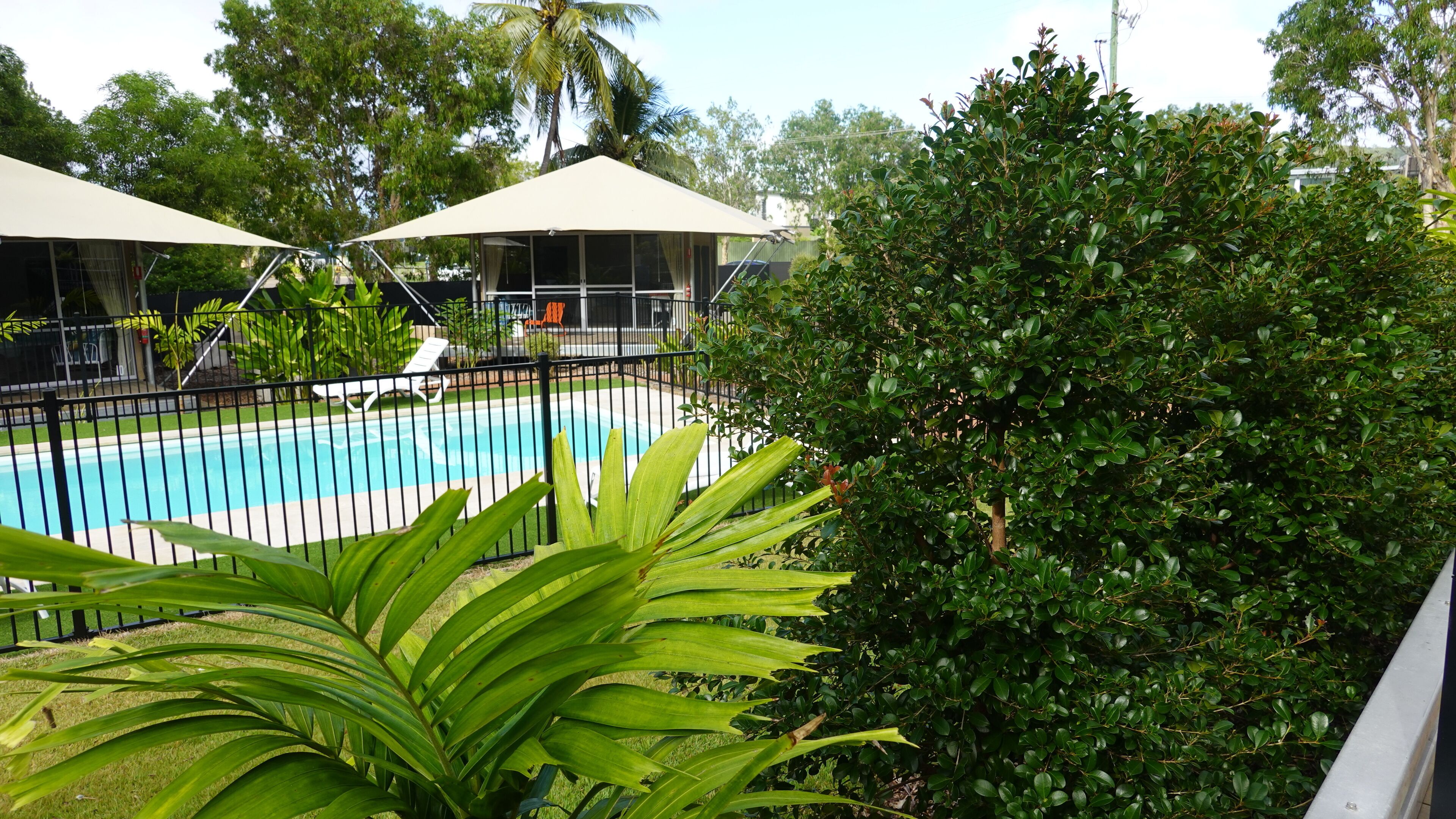 Una piscina cercada, rodeada de abundante vegetación y un área techada con sillas.