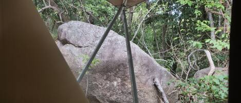 A large rock formation surrounded by dense foliage, with a metal structure partially visible in the foreground.