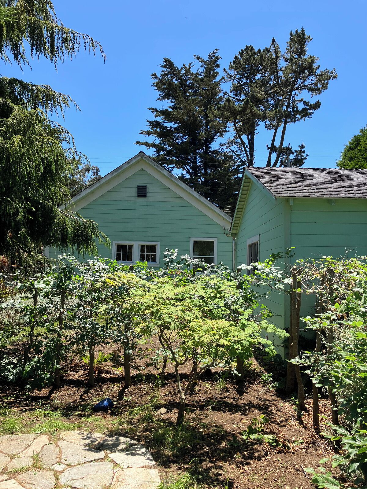 Comfortable 2-bedroom cottage with WiFi, AC in beautiful Point Arena, CA