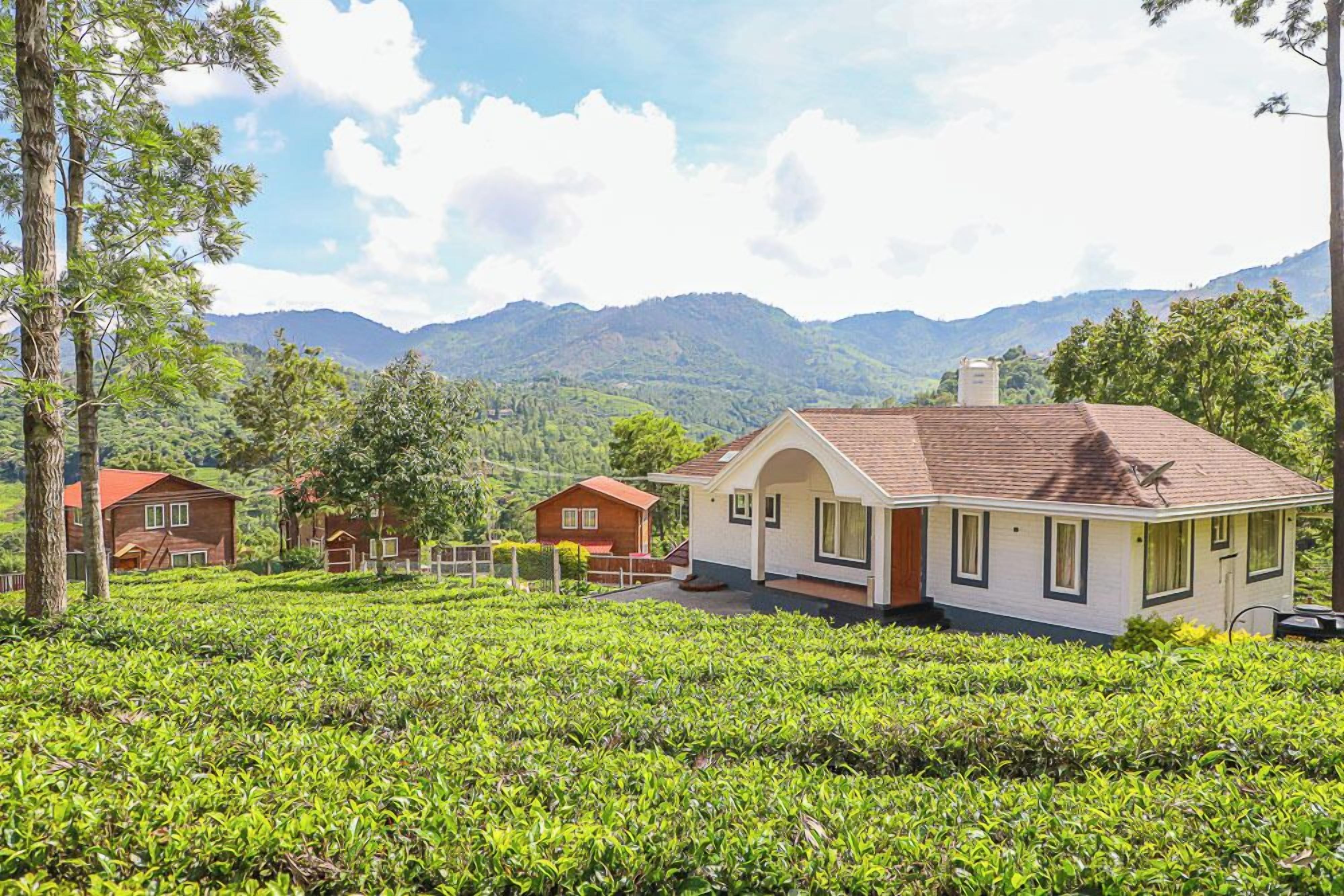 A house with a red roof and white walls, surrounded by lush green tea fields and mountains in the background.