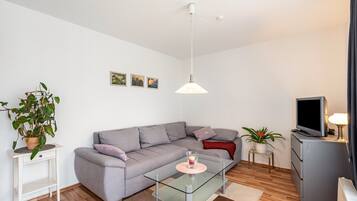 Fernseher, Stereoanlage