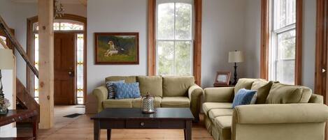 TV, fireplace, books