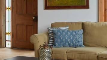 TV, fireplace, books