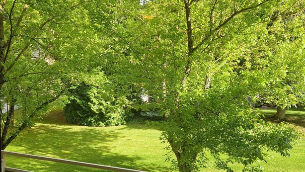 A balcony with a view of a green lawn and trees, a glass table with a potted plant, and wicker furniture. - Apartment Eschenweg incl. balcony with garden view, bed linen and towels (Bad Harzburg)