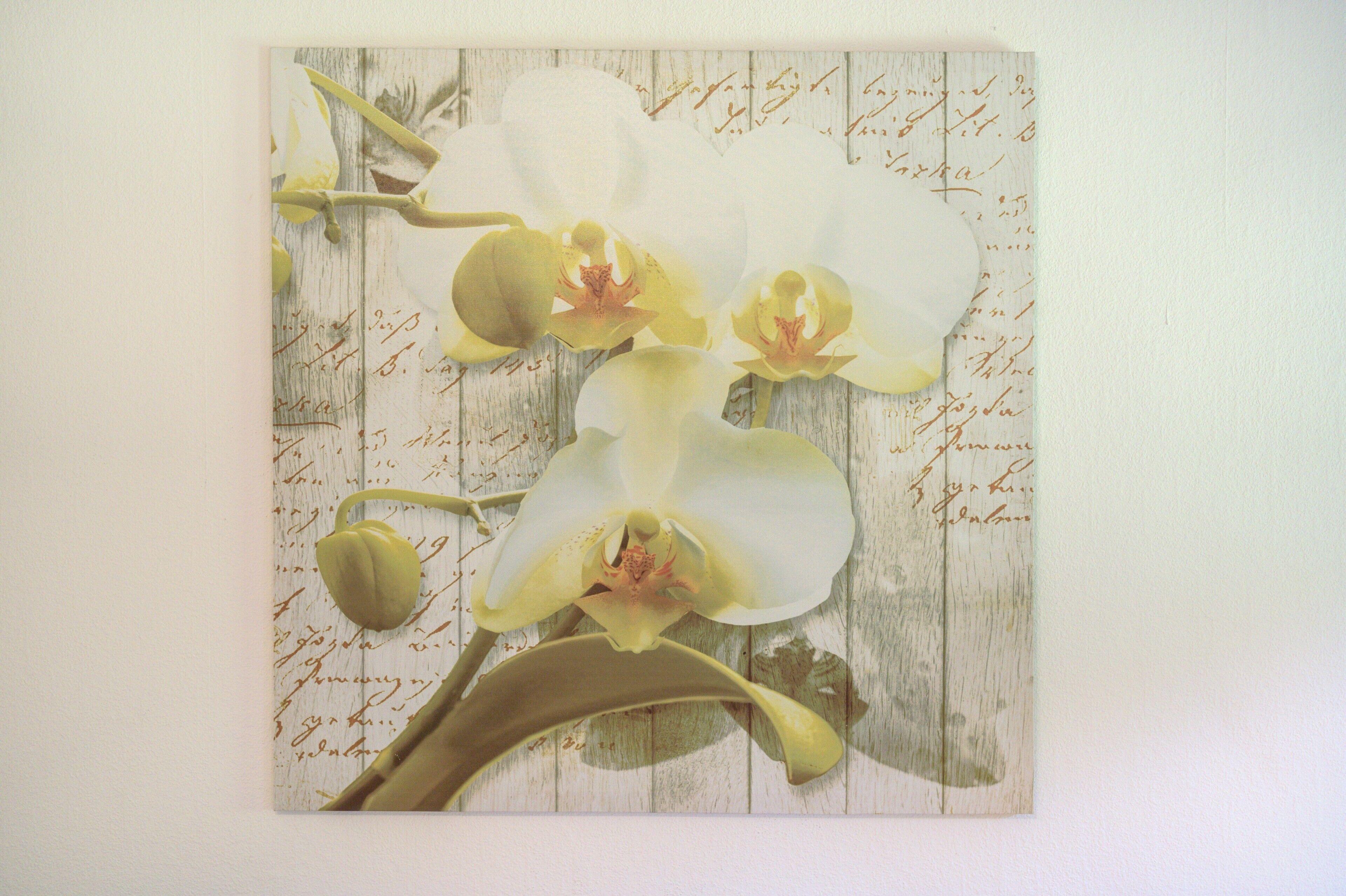 Eine Wand mit einem Blumenmuster.
