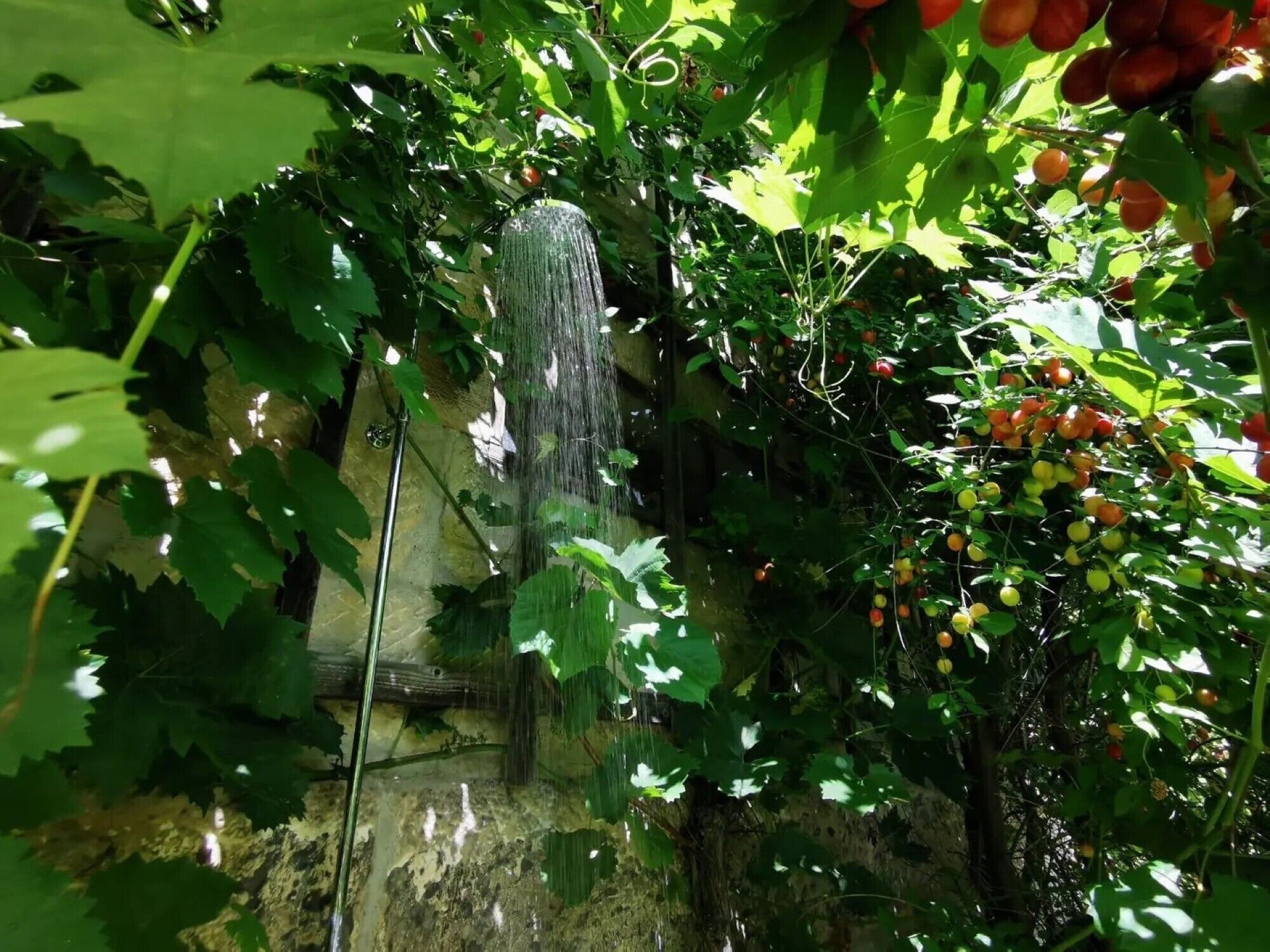 A stone wall with a water feature and lush greenery.