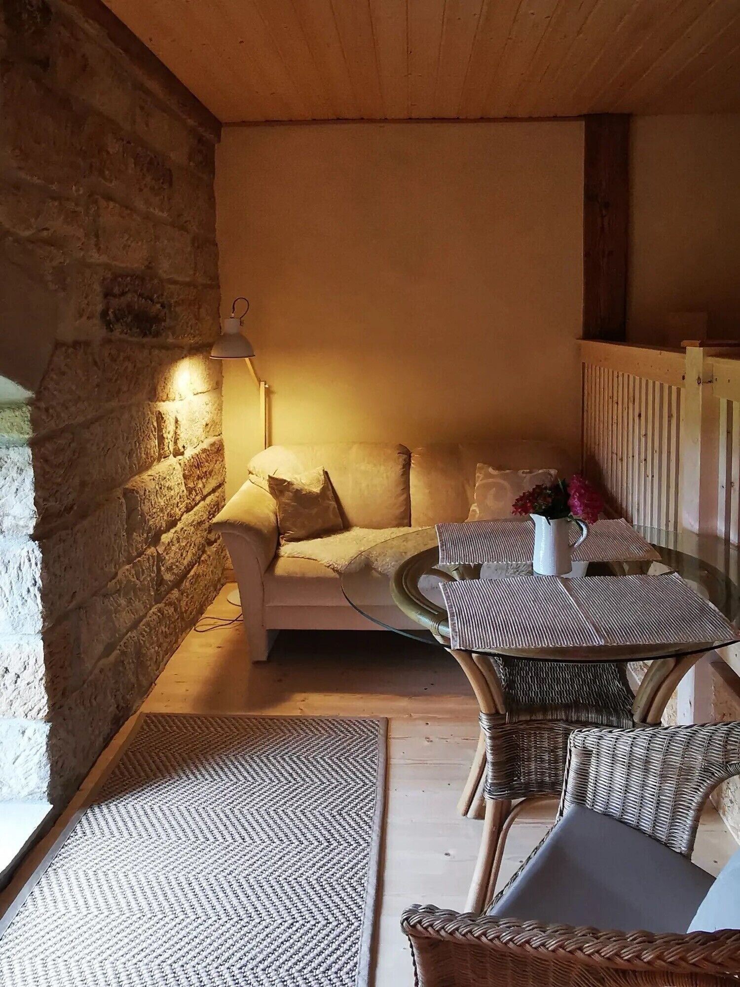 DVD player, table tennis