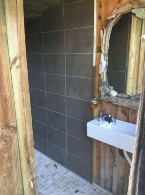 Shower, hair dryer
