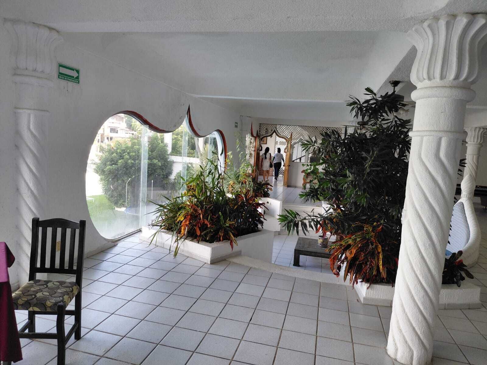 Ein geräumiges Zimmer mit großem Fenster, einem Holzstuhl und einigen topfpflanzen.