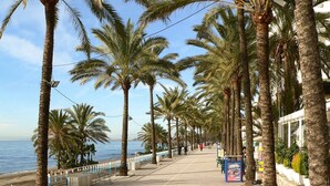 A seaside promenade lined with palm trees and benches, leading to a beach.