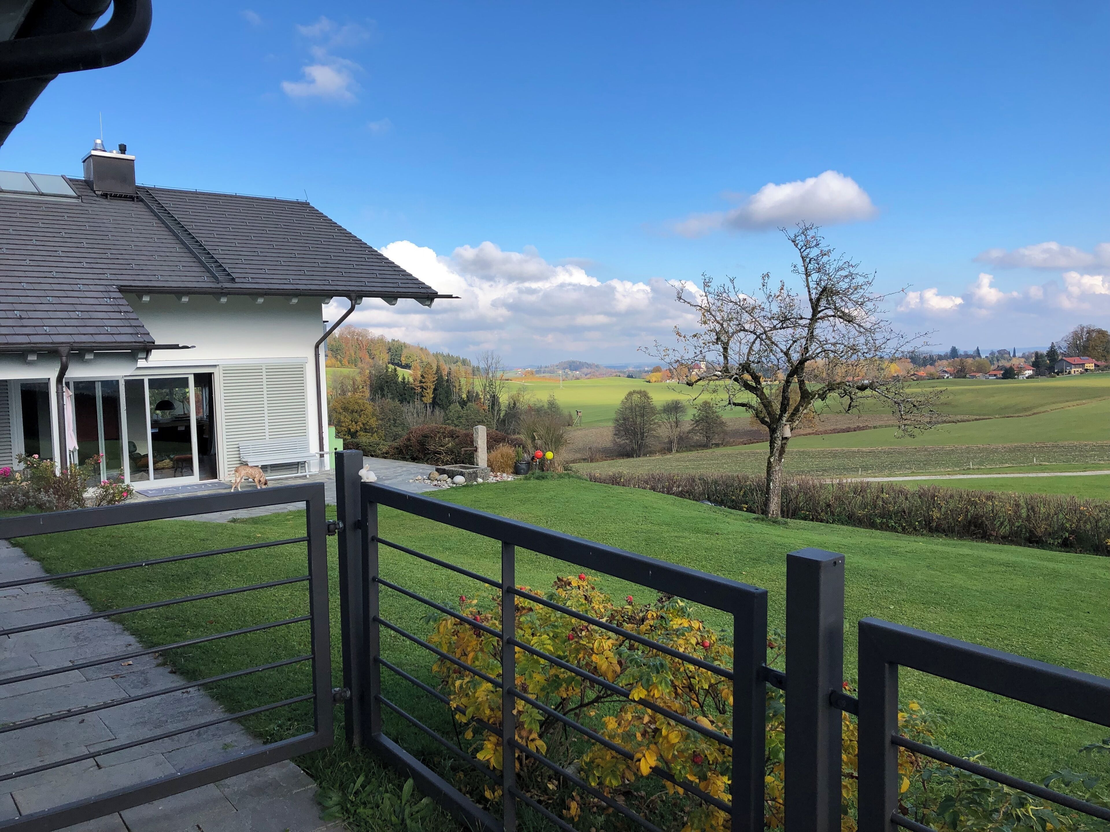 Enceinte de l’hébergement