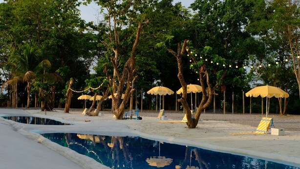 A poolside area with a clear pool, umbrellas, and trees. - Waste Land Homestay & Resort Chiangmai (San Pa Thong)
