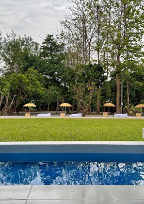 Piscina com borda azulejada, cercada por gramado e árvores. Três guarda-sóis oferecem sombra.