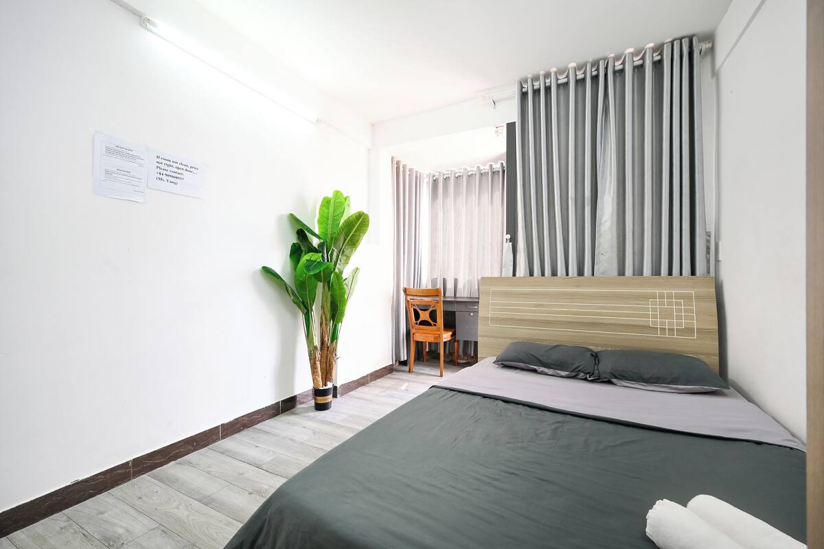 Una habitación de hotel con cama, escritorio, silla, planta en maceta y cortina.