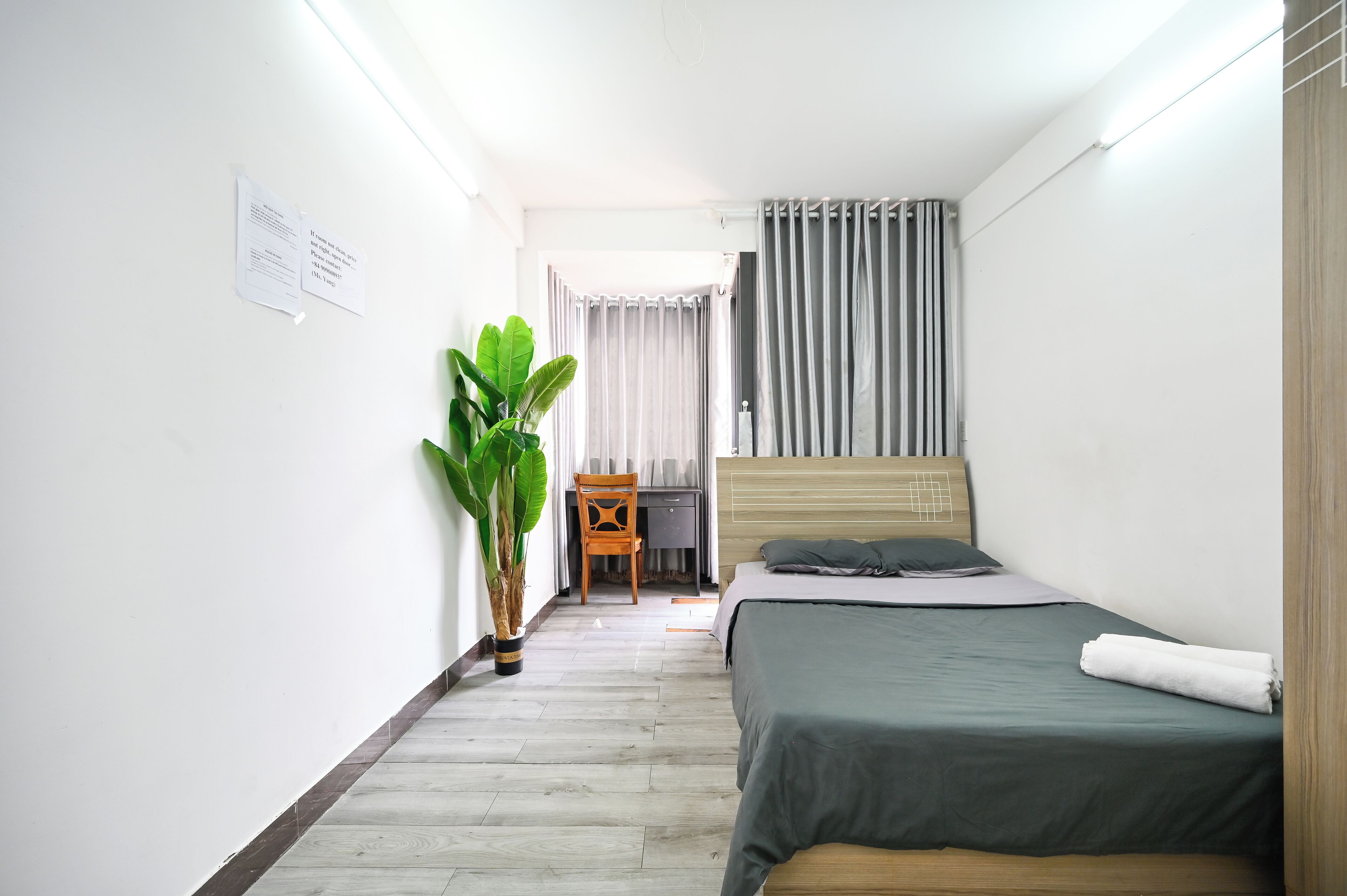Quarto de hotel com cama, escrivaninha, cadeira, planta em vaso e cortina.