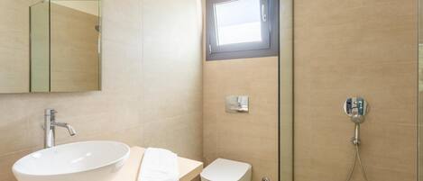 A modern bathroom with a large white sink, a toilet, and a shower with a handheld showerhead.