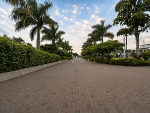 Un sendero pavimentado bordeado por palmeras y setos, que conduce a un edificio.