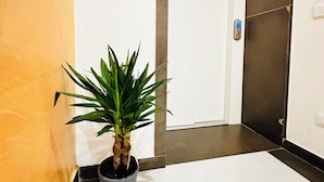 A hallway with a potted plant, a door, and a light switch on the wall. - Dream Hub (Mestre)
