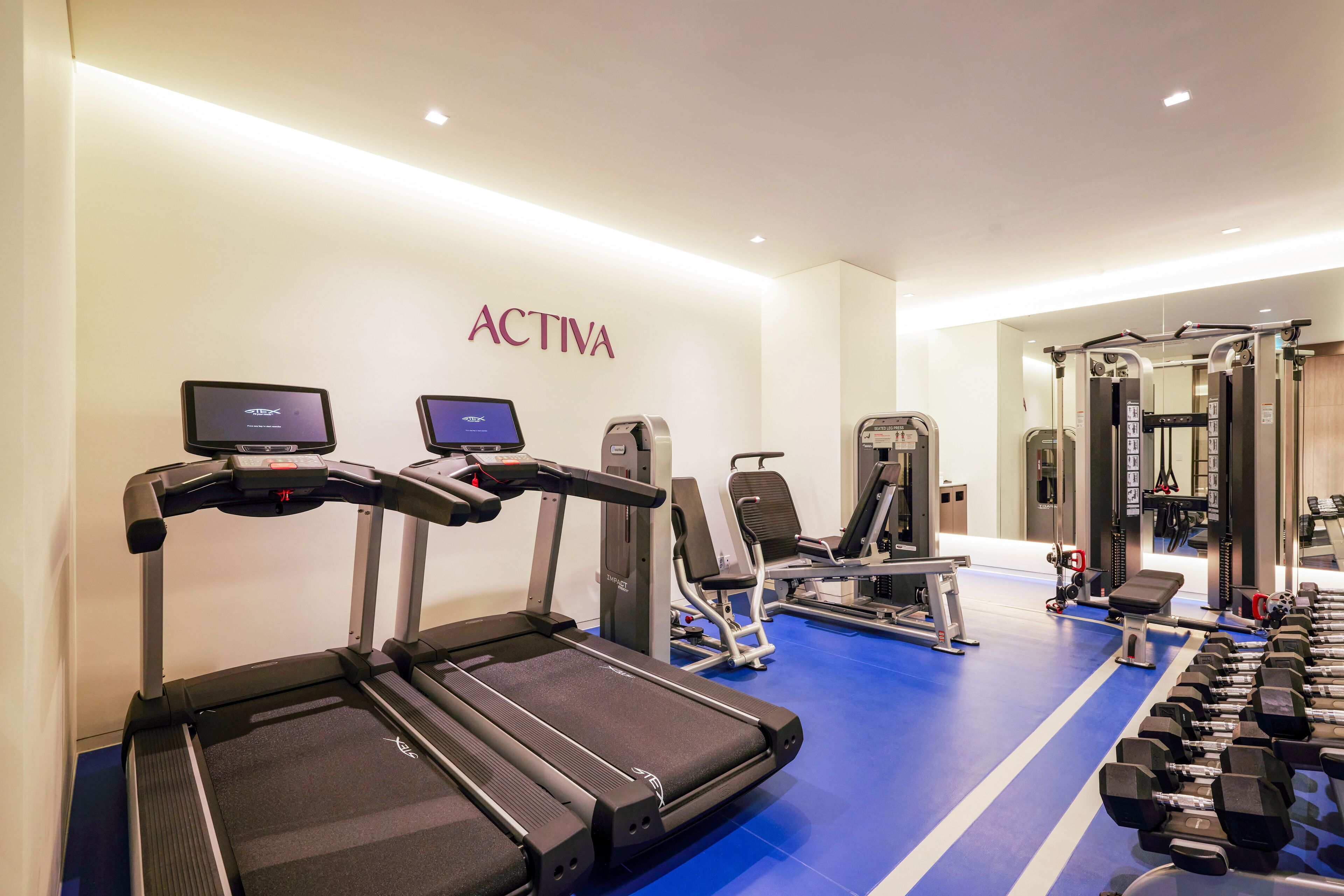 A gym with treadmills, weight machines, and dumbbells.