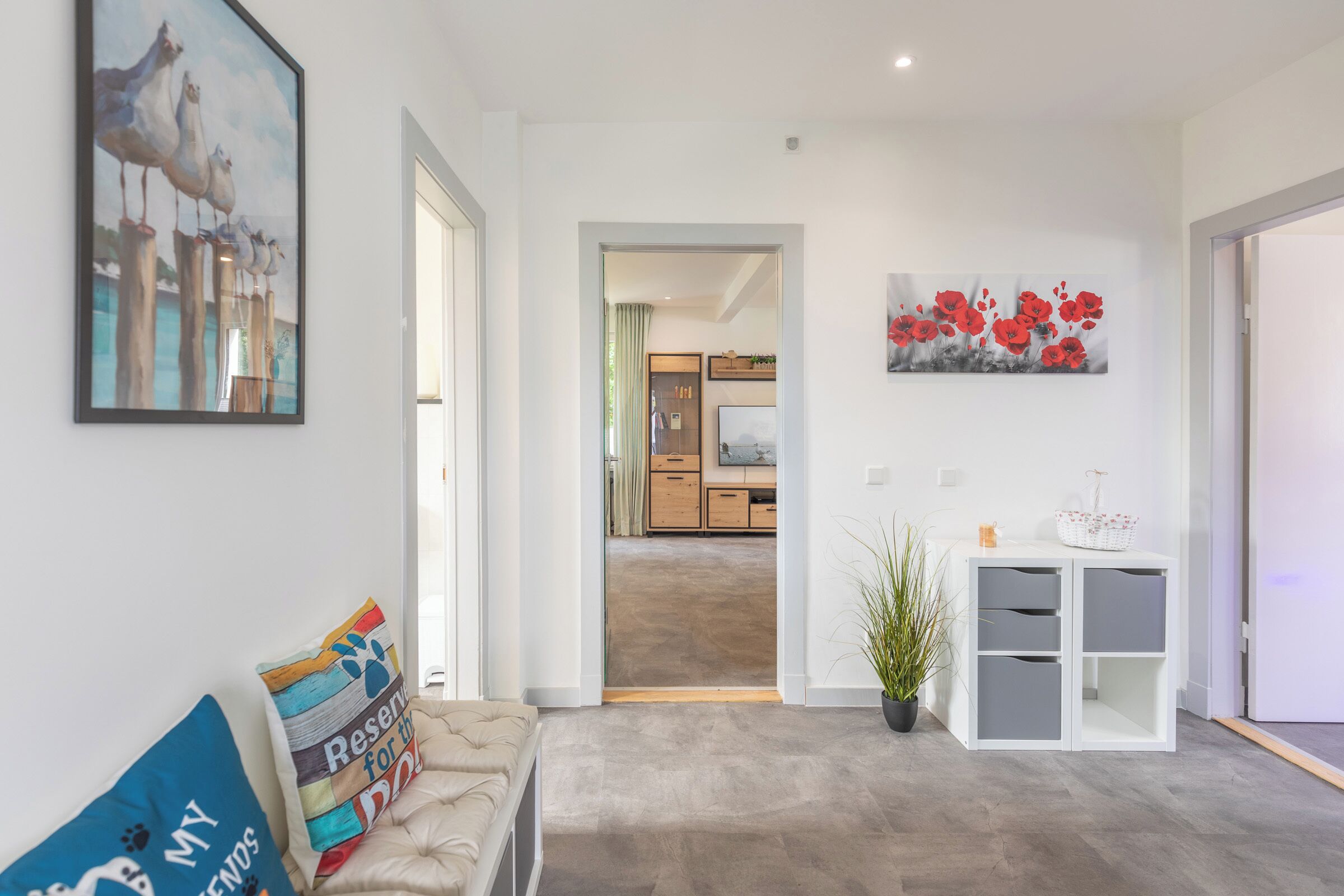 Televisie, een dvd-speler, boeken en een stereo