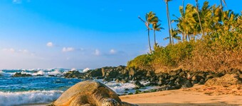 @Marbella Lane - Elegant 3BR w/ Marvelous Views