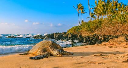 @Marbella Lane - Elegant 3BR w/ Marvelous Views