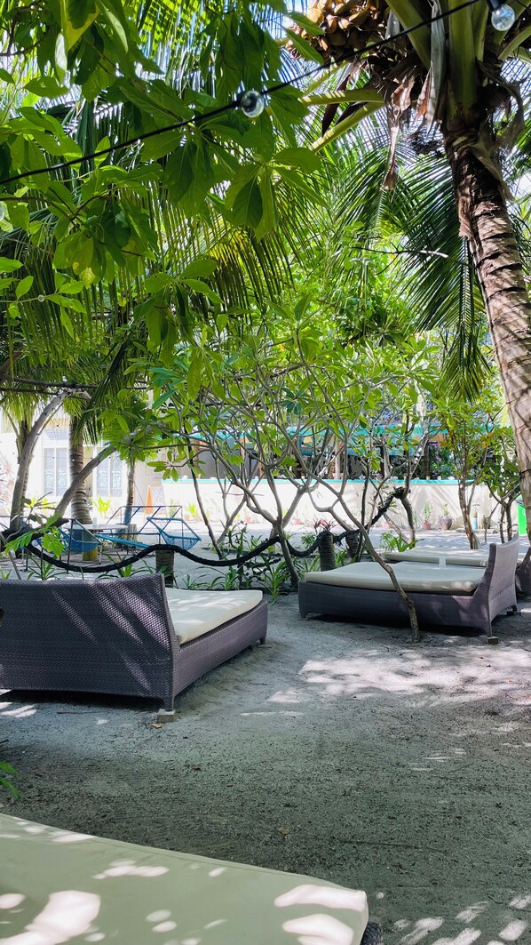 A shaded outdoor seating area with wicker furniture and a palm tree. - Three Hearts Guesthouse (Fulhadhoo)