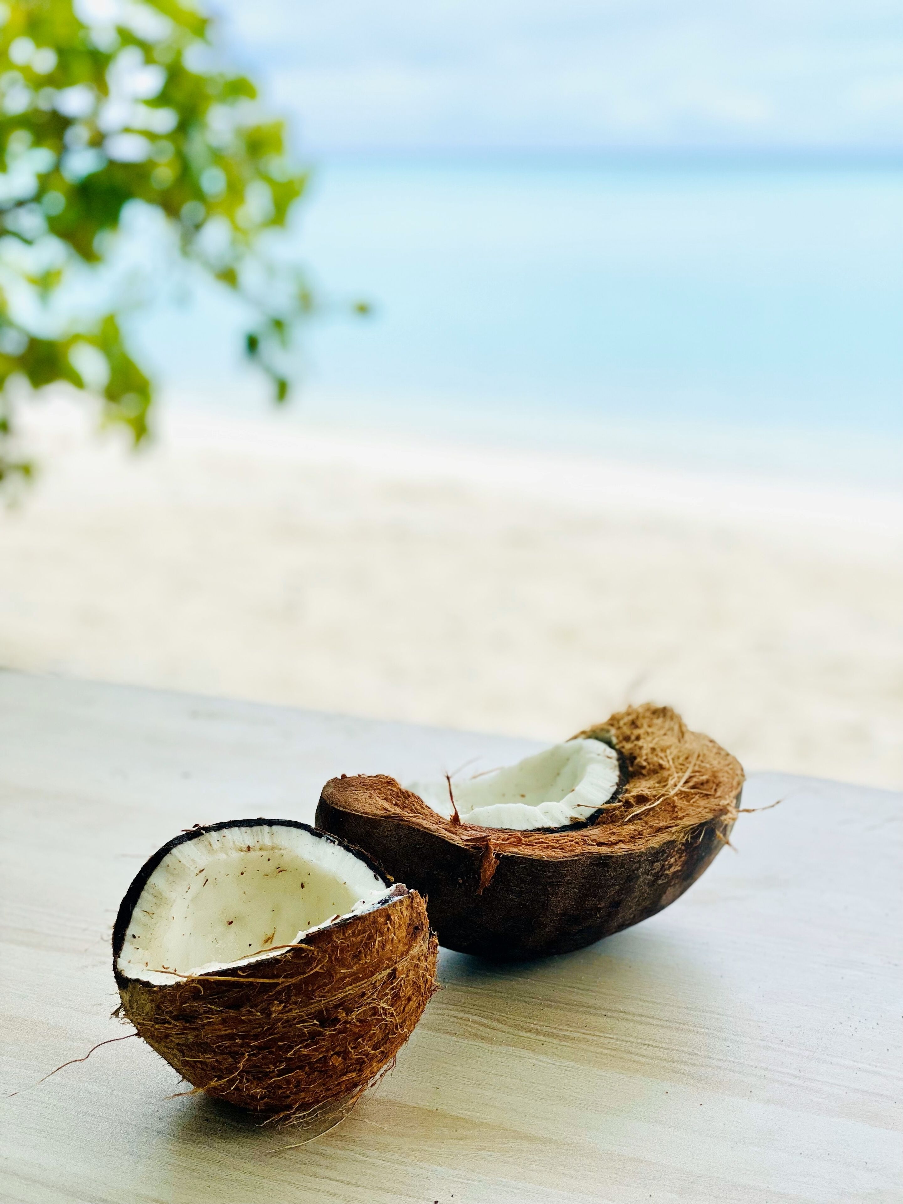 Duas metades de um coco sobre uma superfície de madeira, com uma praia e oceano ao fundo.