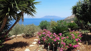 Ein Garten mit verschiedenen Pflanzen und Blumen, ein klarer, blauer Himmel und eine ferne Aussicht auf Meer und Berge.
