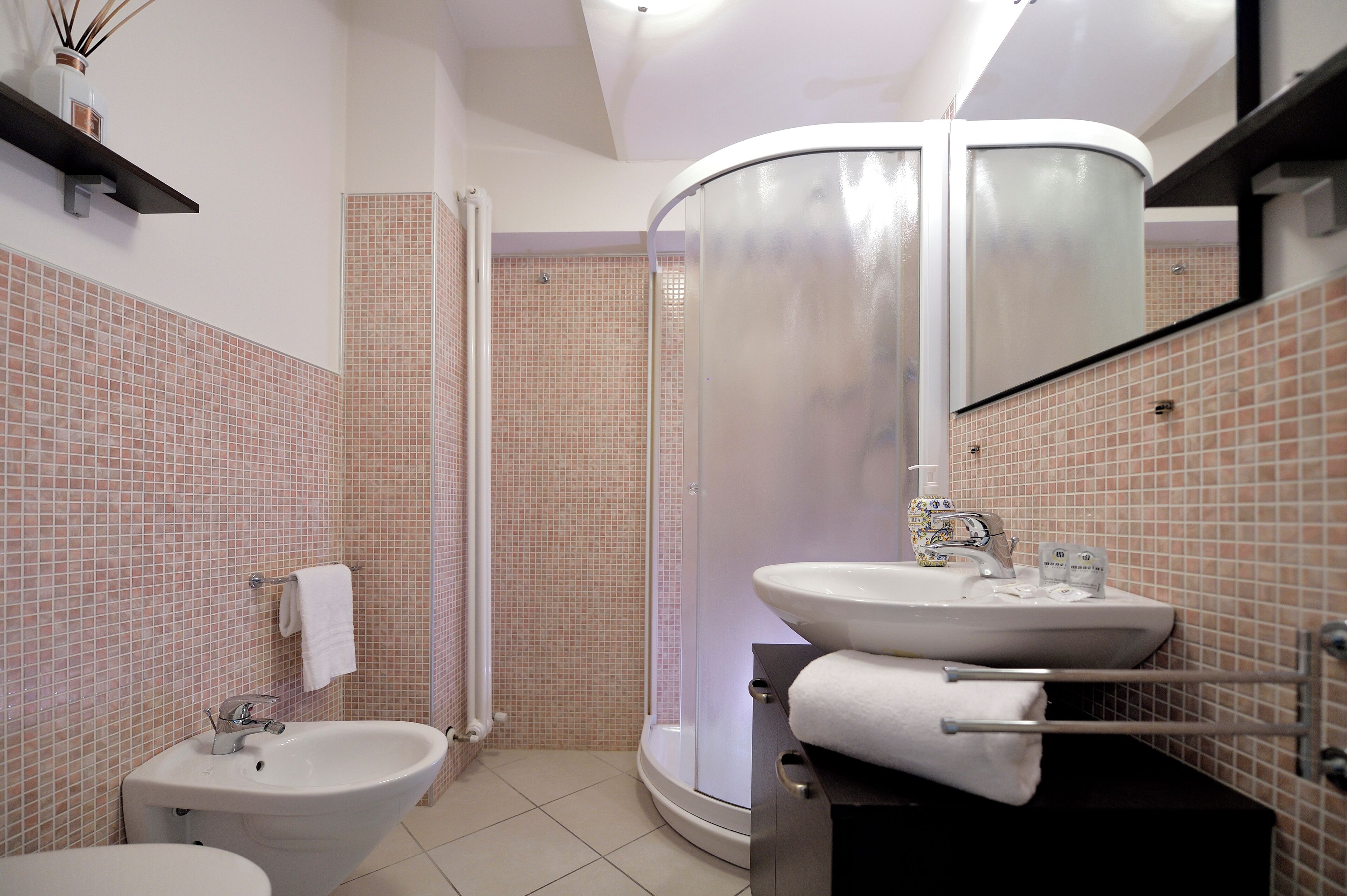 Shower, hair dryer, bidet, towels