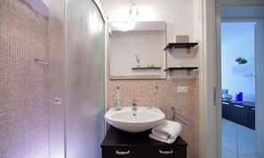 Shower, hair dryer, bidet, towels
