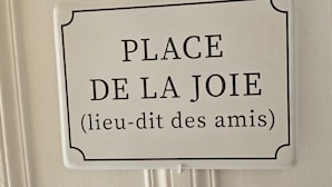 A sign with the text "PLACE DE LA JOIE (lieu-dit des amis)" mounted on a wall. - Le Galliéni Hyper Centre  (Le havre)