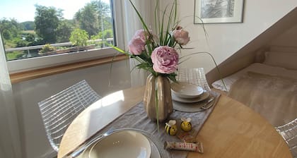 Weitblick zwischen Bamberg und Nürnberg🌸