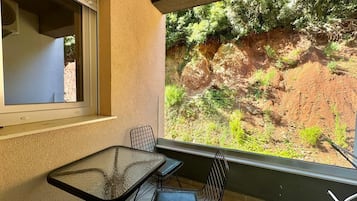 Estudio estándar | Terraza o patio