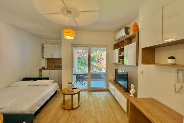 Estudio estándar | Zona de estar | Una televisión de pantalla plana